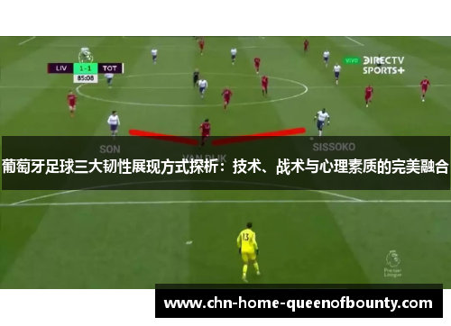 葡萄牙足球三大韧性展现方式探析：技术、战术与心理素质的完美融合