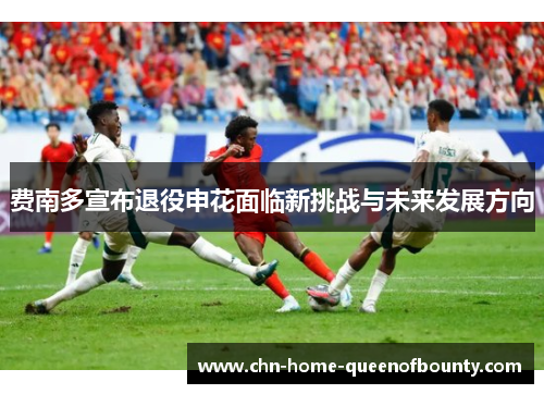费南多宣布退役申花面临新挑战与未来发展方向