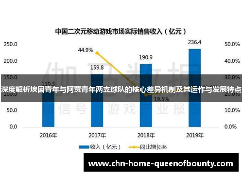 深度解析埃因青年与阿贾青年两支球队的核心差异机制及其运作与发展特点 深度解析埃因青年与阿贾青年两支球队的核心差异机制及其运作与发展特点