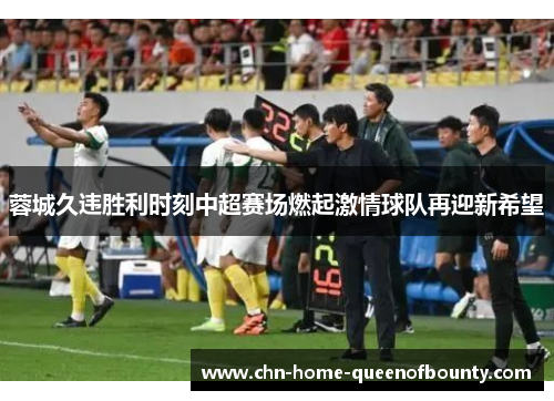 蓉城久违胜利时刻中超赛场燃起激情球队再迎新希望