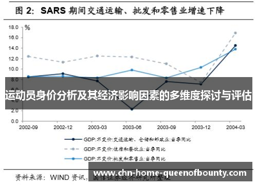 运动员身价分析及其经济影响因素的多维度探讨与评估