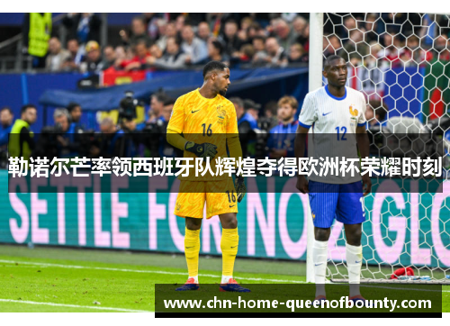 勒诺尔芒率领西班牙队辉煌夺得欧洲杯荣耀时刻